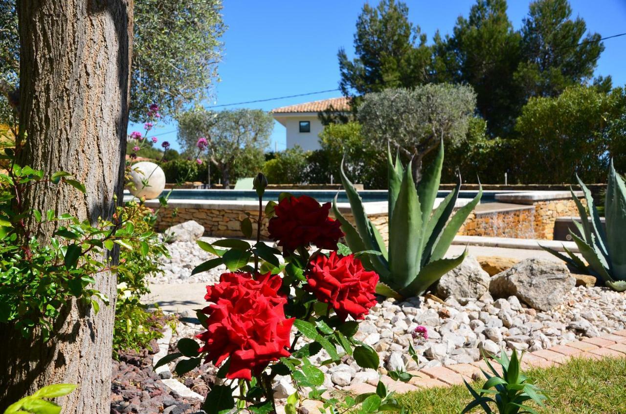 Appartements Du Jas De Clare La Cadiere-d'Azur Kültér fotó